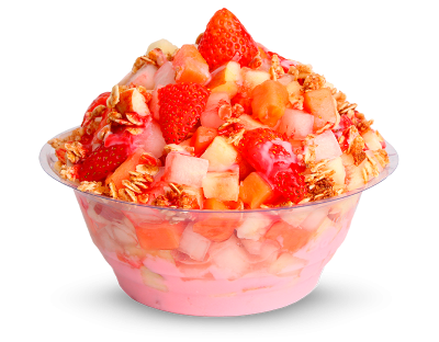 salada-especial-suco-bagaco
